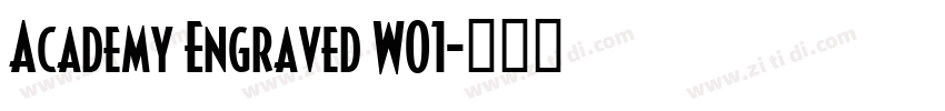 Academy Engraved W01字体转换